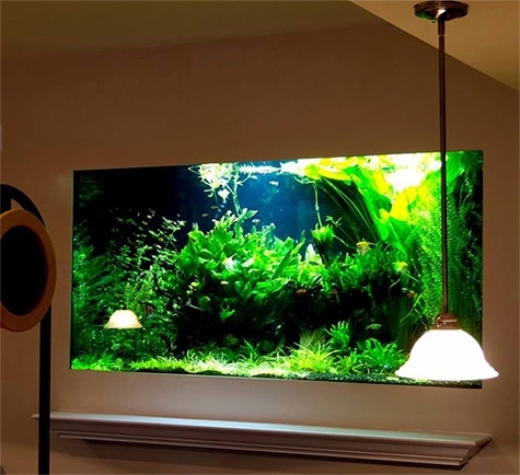 aquariums for banks