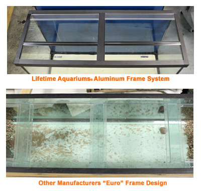 glass aquariums frame closeup