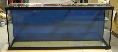 Aquarium Frame Closeup